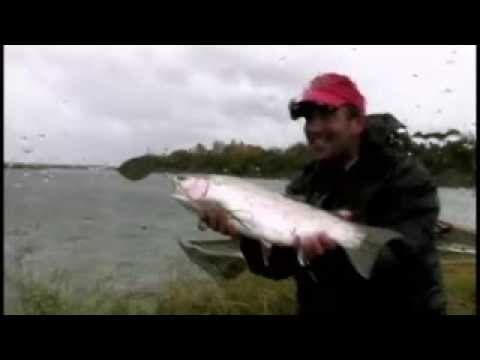 Huge Alaskan Rainbows - Seasons On The Fly