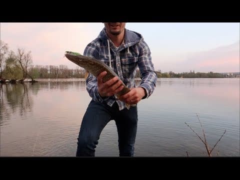 Fishing in Germany: Bit by Fish, First Fish on Rhein, difference between US and German fishing