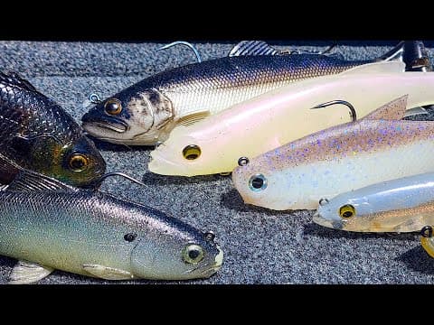 Swimbait Tips For Early Spring Bass Fishing!