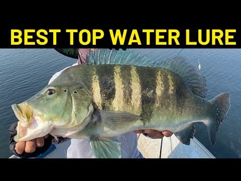BETTER THAN RAPALA LURE#fishing