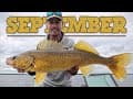 5 BEST September Walleye Tips (Late Summer to Early Fall Transition)