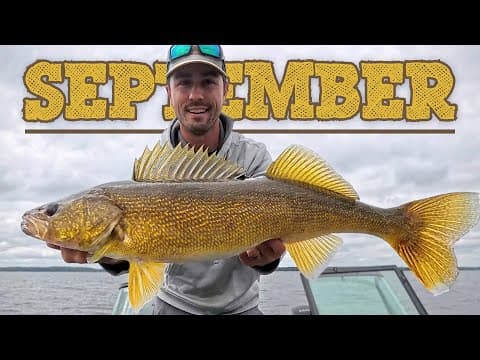 5 BEST September Walleye Tips (Late Summer to Early Fall Transition)