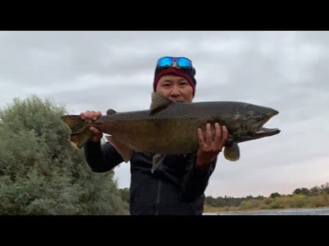 Salmon fishing at AR! fishing game came and ask for fishing license and flossing is legal