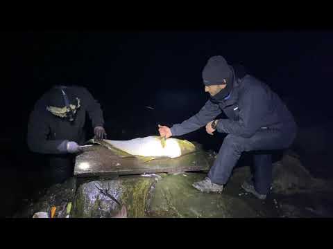 Fishing in Norway Saltstraumen
