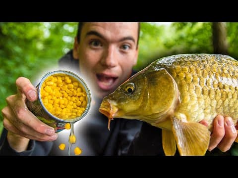 How To Catch Carp With Corn! (Easy and cheap bait for carp fishing)