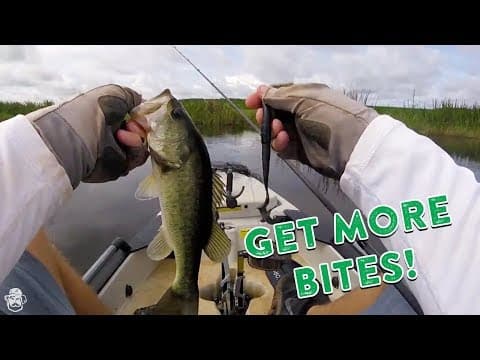 Slow Down Your Presentation | Catch More Finicky Bass