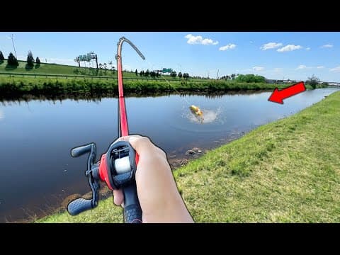 Fishing w/ LIVE SHINERS in Miami Canals! (LOADED)