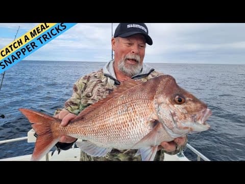 LEARN These Simple Snapper Catching Tricks! (Easily Double Your Catches!)