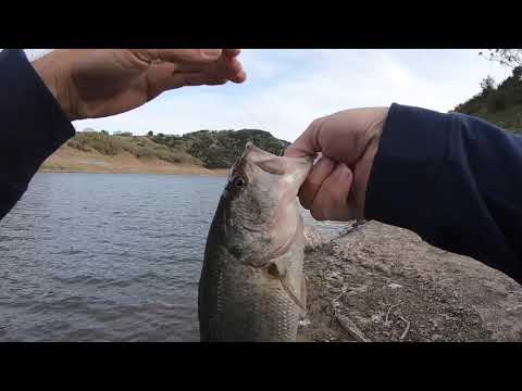 Guadalupe Reservoir Bass Fishing