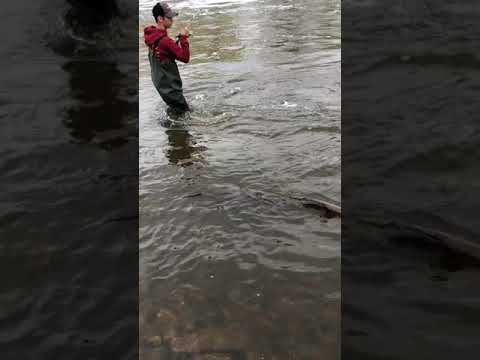 *The rock river never fails *