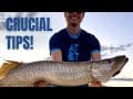 Tiger Muskie/Musky Fishing: Gear and Fish Handling Tips