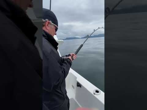 Halibut fishing in Prince William Sound
