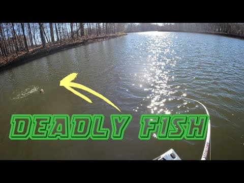 November Power-Plant Fishing at Newton Lake | I ALMOST DIED