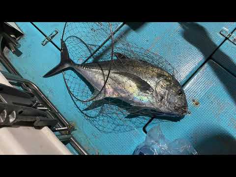 Deep Sea fishing at oil rigs near HK