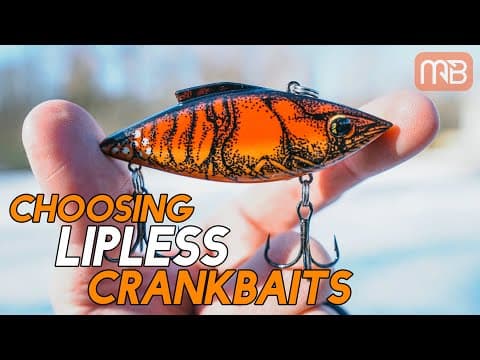 Choosing Lipless Crankbaits (Best Colors and Baits)