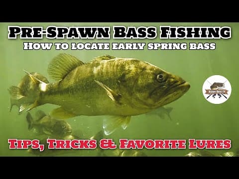 Pre-Spawn Bass Fishing - How to locate bass in the Spring & our favorite Spring baits