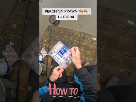 USE THIS BAIT AND TECHNIQUE TO CATCH GIANT PERCH #fishing #fish #perch #fishingtips #howto #perché