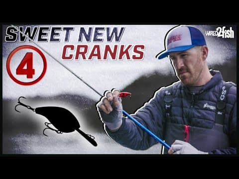 4 New Bass Crankbaits Worth Your Money | Jacob Wheeler Weighs In