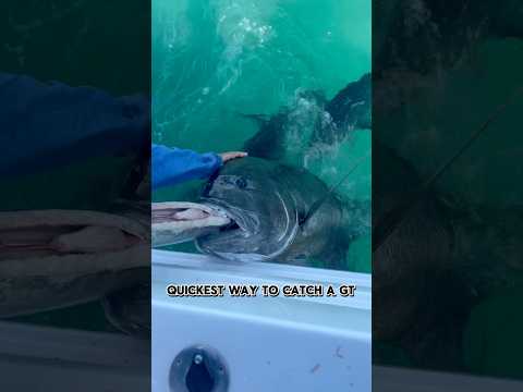 How to catch Giant Trevally in five seconds 🤣 #gianttrevally #gtfishing #fishing #fish #ocean #viral