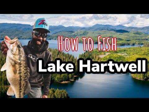 5 Ways To Catch Fish on Lake Hartwell