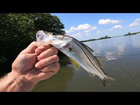 FISHING THE INDIAN RIVER LAGOON