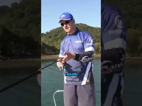 The proper technique for casting and retrieving lures with a light rod tip