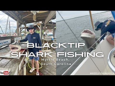 Massive 103lbs Blacktip Shark caught near Myrtle Beach, SC!