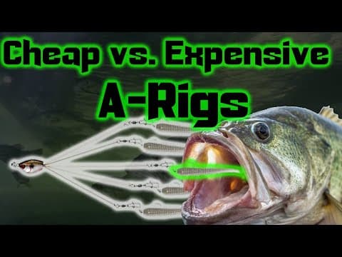 📉 Cheap vs. 📈Expensive A-Rigs (Alabama Rig, Umbrella) - inexpensive a-rigs