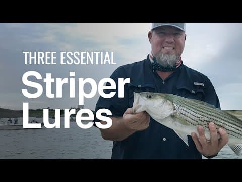 The 3 Most Effective Striper Lures