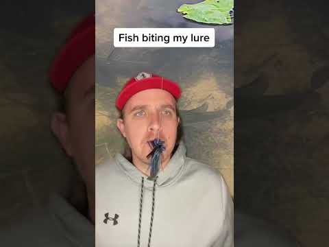 What actually happens when a fish bites your lure #fishing #bassfishing #fisherman #fishingvideo