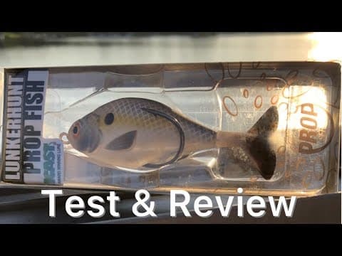 Lunkerhunt Prop Fish: Test and Review