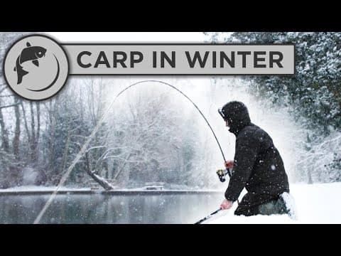 CATCH MORE CARP in WINTER with these 5 tips!