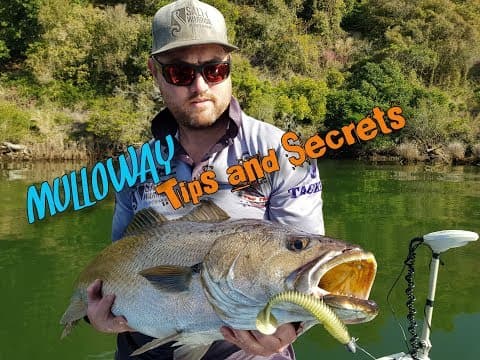 Mulloway Tips and Secrets - Beginners Guide to using Plastics Vol 1