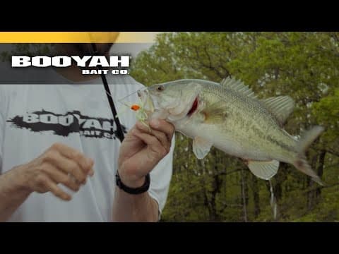 BOOYAH Covert Series | How To Choose Spinnerbait Weight Sizes