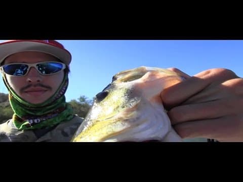 Bass Fishing Canyon Lake, AZ