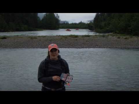 Kenai Bead Selection