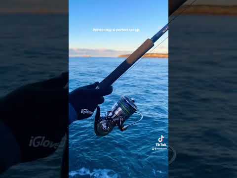 Perfect set up for rock fishing