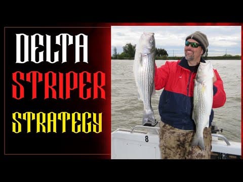 How To Catch Stripers In The California Delta