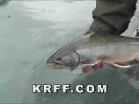 Kenai River Fly Fishing - Alaska