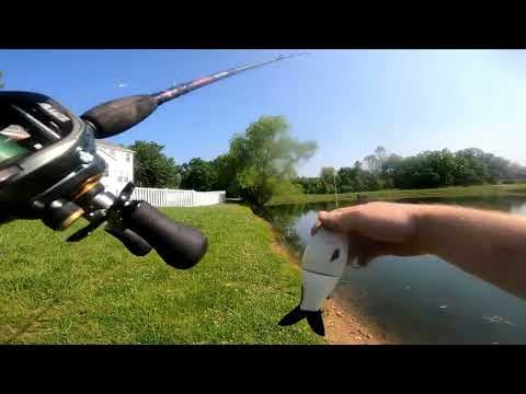 NEW $18 bass pro glide bait action  (actually works well)