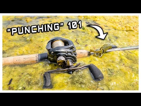 Fishing THICK Matted Grass For BASS (Punching Tips &amp; Tricks)