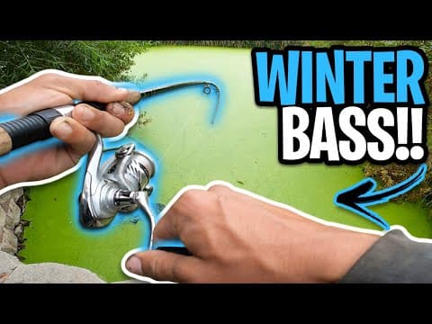 Catching So Cal Bass During Winter! | January 2022