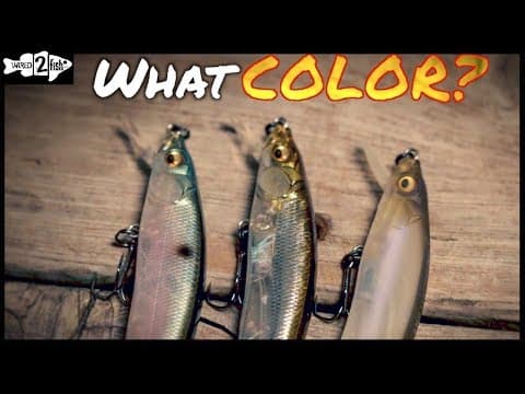 3 Jerkbait Color Selection Guidelines That Produce