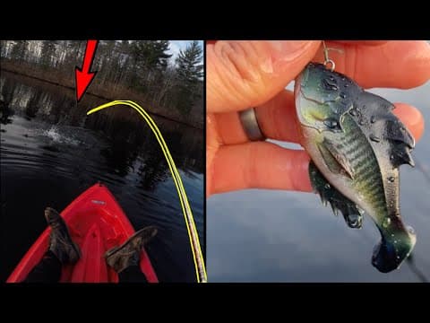 How to Fish for Early Spring Bass