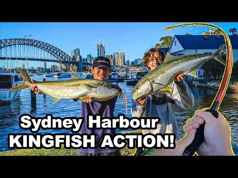 Insane Kingfish Lure Fishing in Sydney Harbour...Figure 8 Sluggo Hookup!
