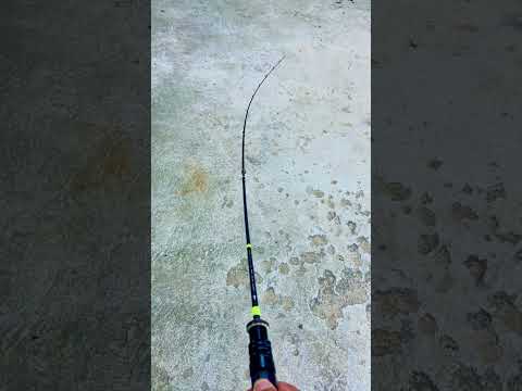 DanKung dancing supple BFS rod