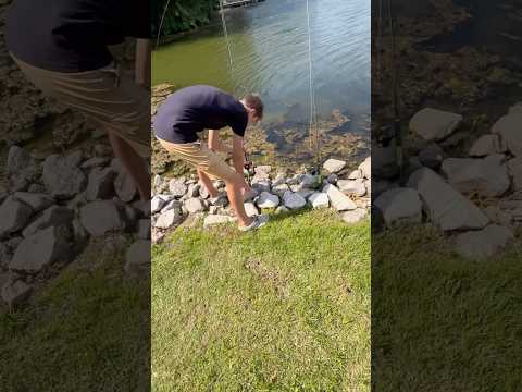 What will we catch with turkey and catfish bait in broad daylight? | #fishing #takemefishing #fish
