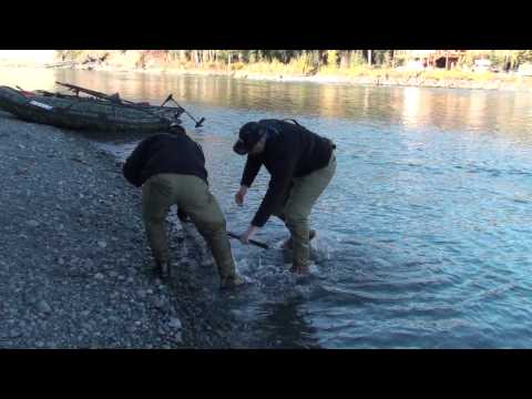 I Caught a Rainbow Trout in Alaska
