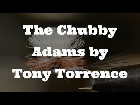 The Chubby Adams by Tony Torrence