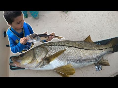 MONSTER SNOOK OF RIVER PARK | Port Saint Lucie, FL